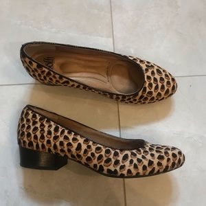 Sofft calf hair size 9